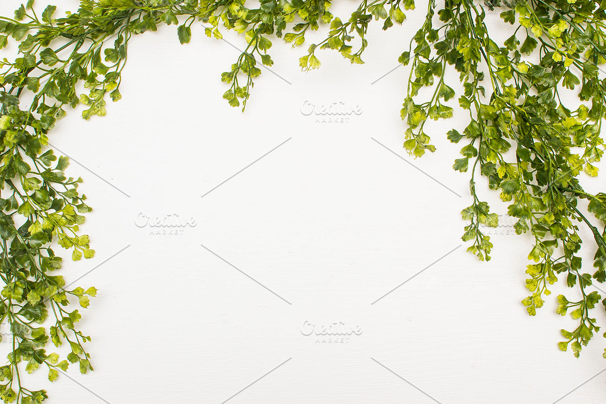 Modern Mockup, Clean Mockups, a Background Photo by BlueBooks (Photo 5 of 14)