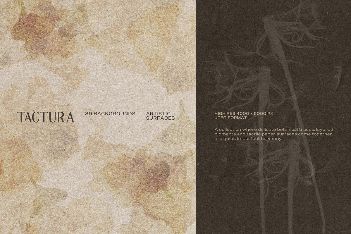 Tactura Artistic Botanical Textures, a Background Graphic by DigARTbyHavroshka (Photo 5 of 13)