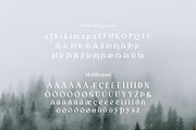 Bunga Zivilia - Display Serif Font, a Serif Font by Artchitype Studio (Thumbnail 10 of 12)