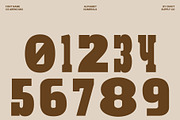 CS Areno Mix, a Slab Serif Font by Craft Supply Co. (Thumbnail 5 of 8)