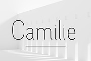 Elegant - Font Collection - 7 Fonts, a Sans Serif Font by CorgiAstronaut (Thumbnail 2 of 41)