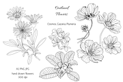 Flowers outlined, an Object Graphic by VictoriaKStudio (Thumbnail 1 of 4)