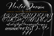Hector Darwin, a Handwritten Font by HaKi Studio (Thumbnail 5 of 5)