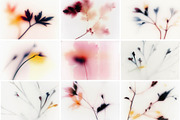 Foggy Flower Collection, a Background Graphic by nkate (Thumbnail 7 of 11)