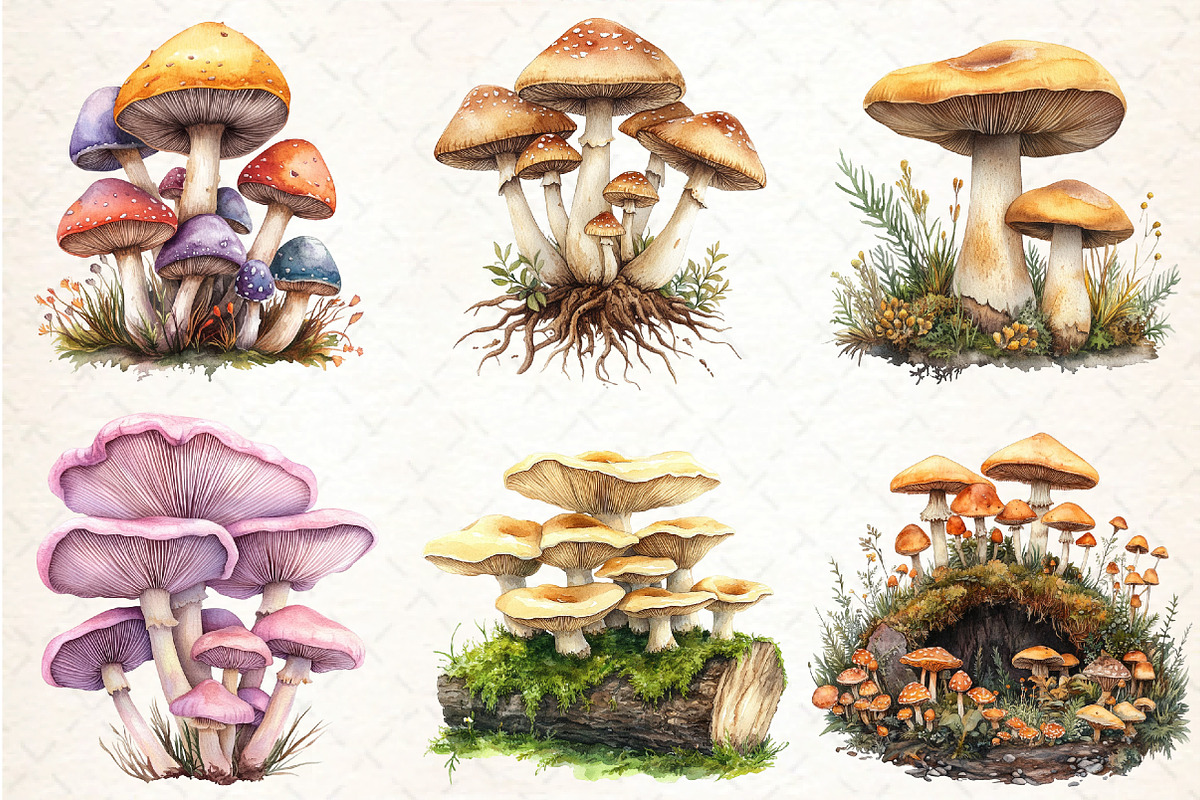Watercolor Mushroom Clipart bundle, an Illustration by DreamCafeArt (Photo 4 of 9)