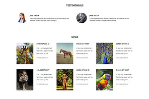 Zoo Responsive One Page Theme