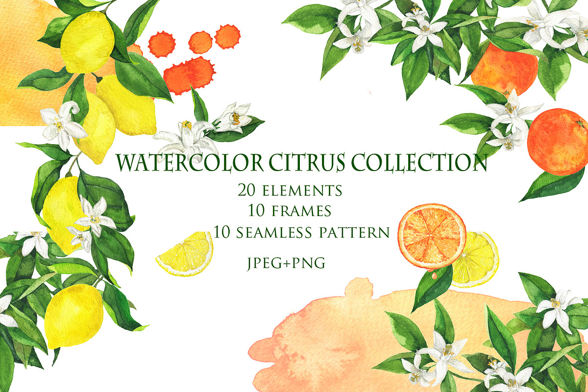 Watercolor citrus collection, a Food Illustration by Watercolor & sketches (Photo 1 of 8)