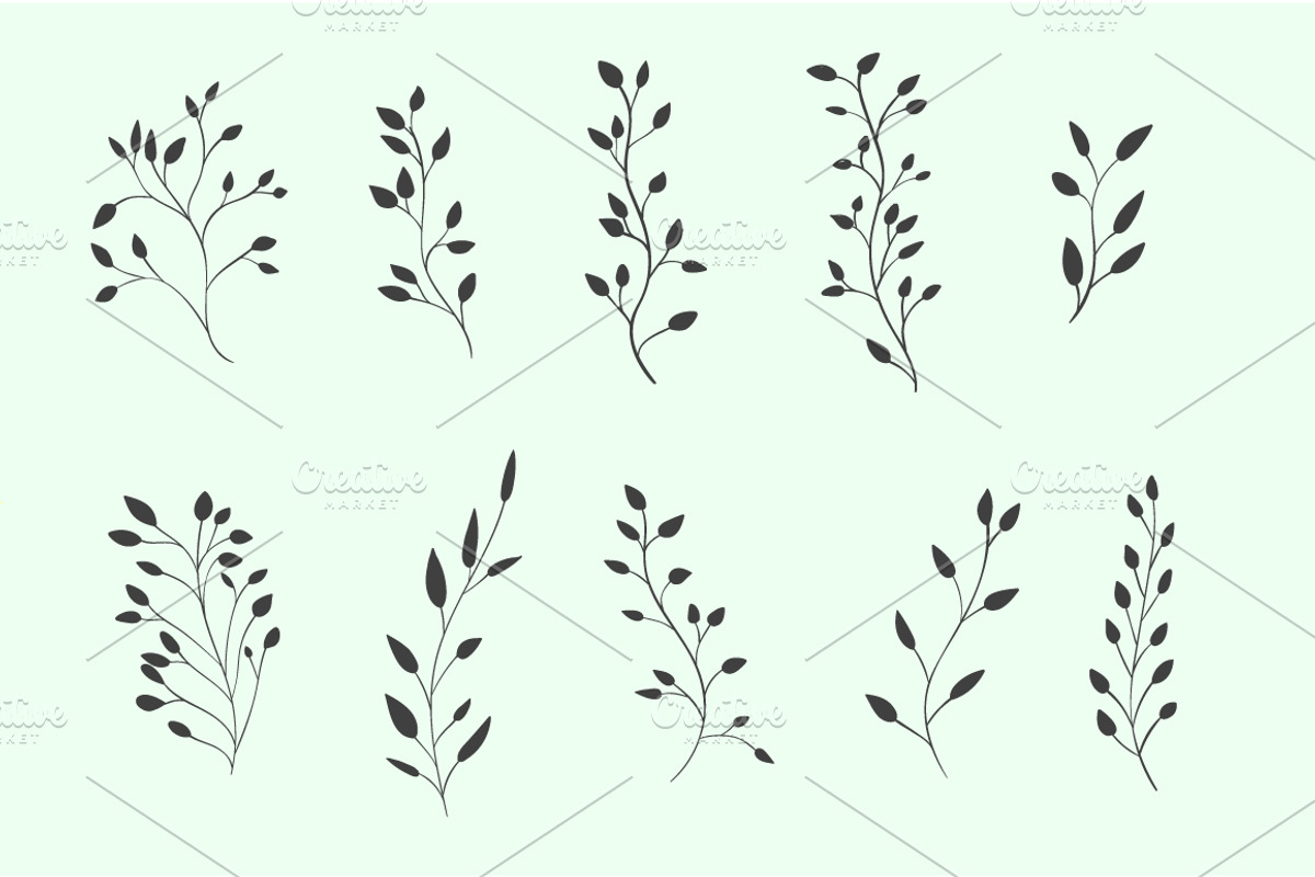 40 plants and leaves elements, an Illustration by Anna's Creative Store (Photo 4 of 5)