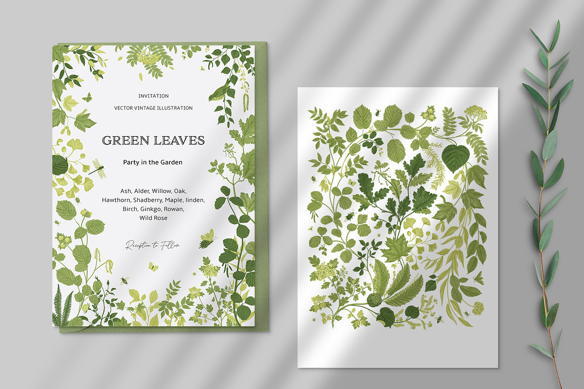 Leafy, a Decorative Illustration by olga.korneeva (Photo 14 of 16)