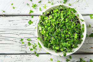 Fresh microgreen in plate on wooden table, a Food & Drink Photo by AlyaAnd