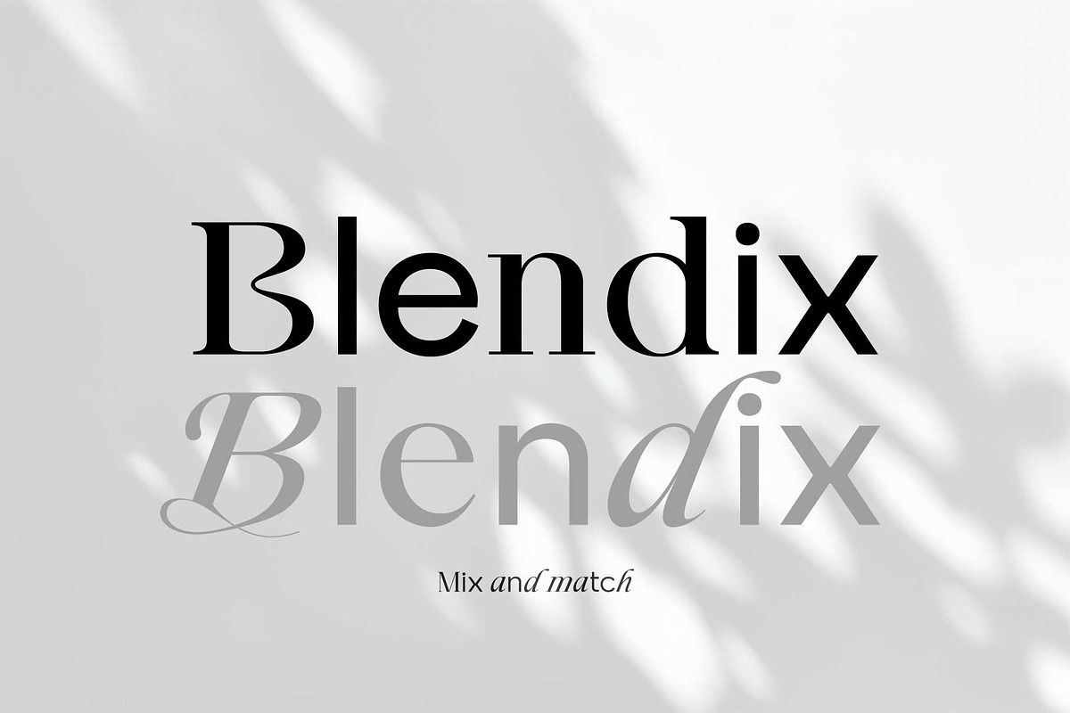 Blendix, a Sans Serif Font by Ryul Davidson (Photo 1 of 16)