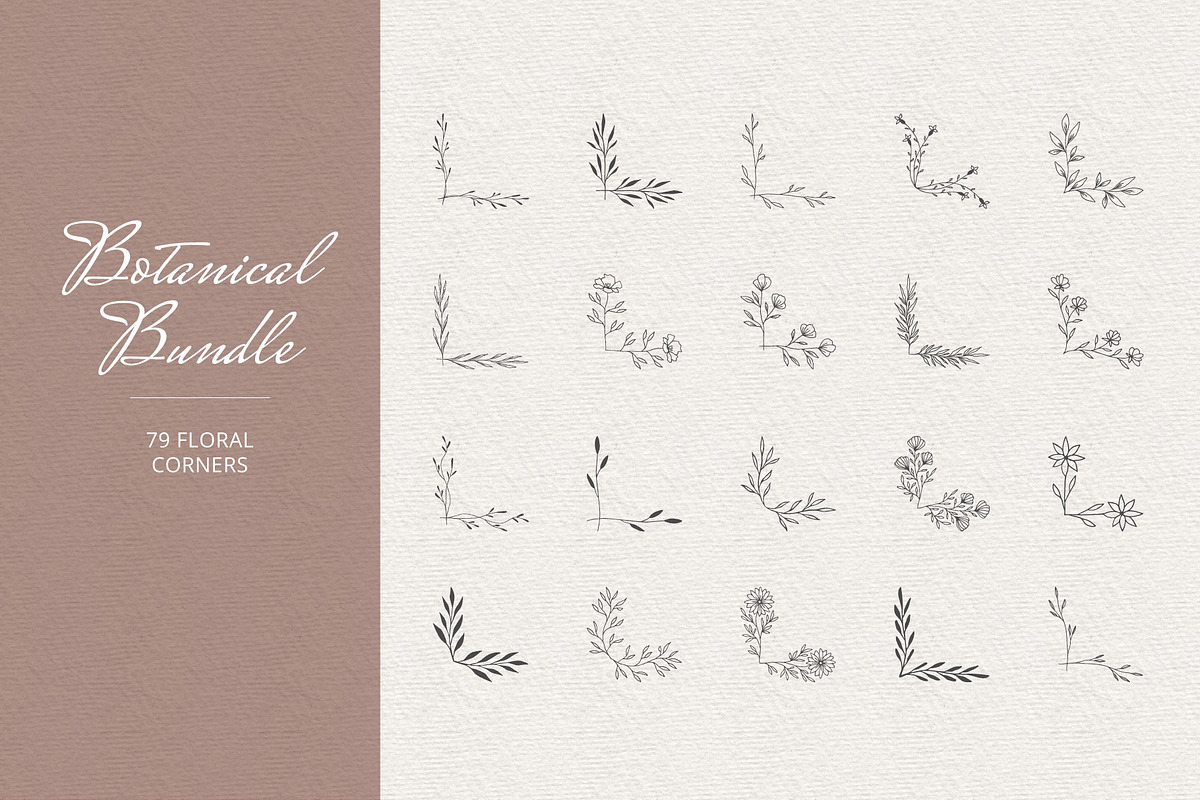 Botanical Bundle, a Decorative Illustration by Anatartan Design (Photo 5 of 7)