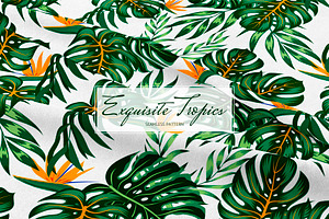 Tropical Seamless Patterns & Leaves