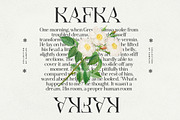 Idealist Serif, a Serif Font by Nicky Laatz (Thumbnail 31 of 34)