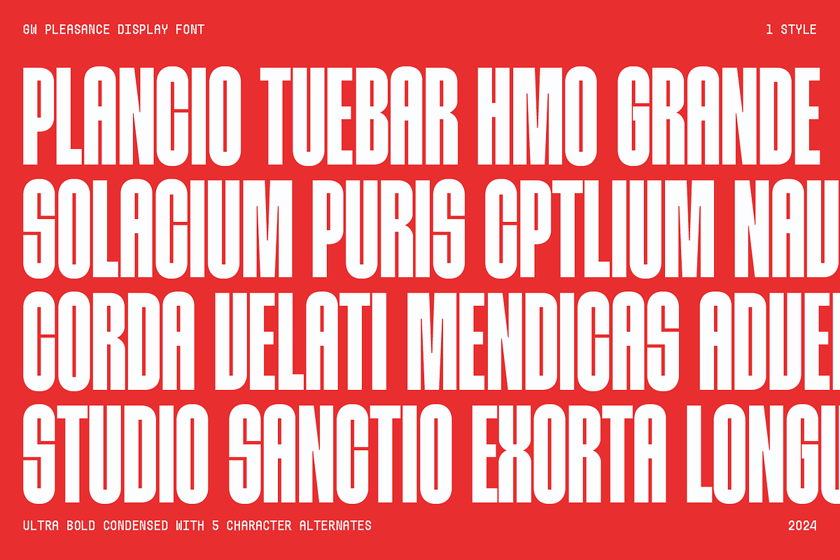 GW Pleasance, a Sans Serif Font by Goodwheel Studio (Photo 11 of 12)
