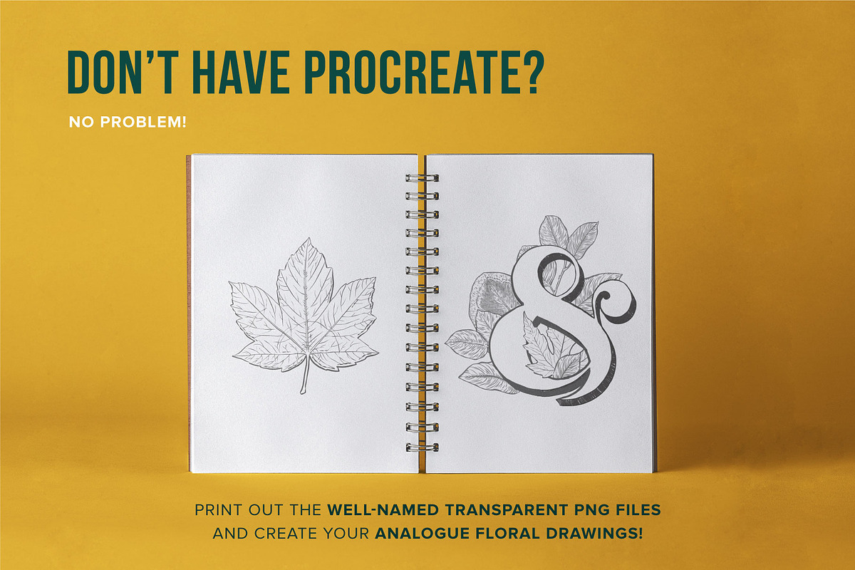 12 Leaf Procreate Stamp Brushes, a Brush Add-On by Riveros Illustration (Photo 10 of 11)