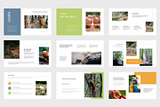 Ugira : Wildlife Care Google Slides, a Presentation Template by Punkl Camp (Thumbnail 2 of 9)