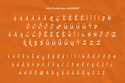 The Wolfflin // Handwritten Font, a Script Font by Letterature Std. (Thumbnail 9 of 11)