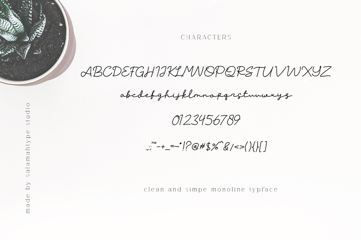 Willy Schaden Script, a Script Font by Salamahtype (Photo 5 of 5)