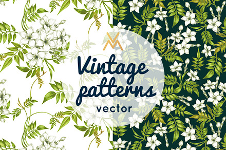 Floral patterns. Jasmine