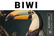 Biwi Collection · Majestic Birds, a Texture Illustration by milatovar (Thumbnail 1 of 17)
