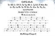 Cold Outside - Lovely Script, a Script Font by Sronstudio (Thumbnail 10 of 10)