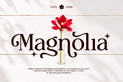 Delvira - Stylish Elegant Serif Font, a Serif Font by Font Liner (Thumbnail 8 of 10)
