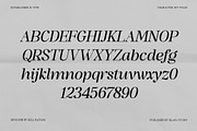 The Serifon Editorial, a Serif Font by Black Studio (Thumbnail 15 of 17)