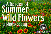 FHA Condensed French, a Font by Fontry West (Thumbnail 2 of 8)