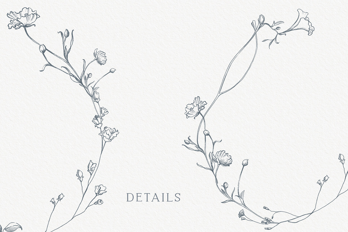 Fine line flower logo elements, an Object Illustration by Sensual Art (Photo 3 of 5)