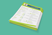 Professional Cv Resume, a Resume Template by designvillage (Thumbnail 3 of 12)
