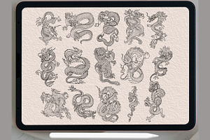 Dragon Dragon Stamps Procreate