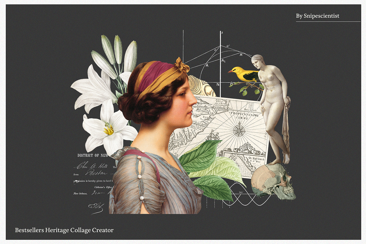 Bestsellers Heritage Collage Creator, an Object Graphic by SNIPESCIENTIST (Photo 11 of 64)