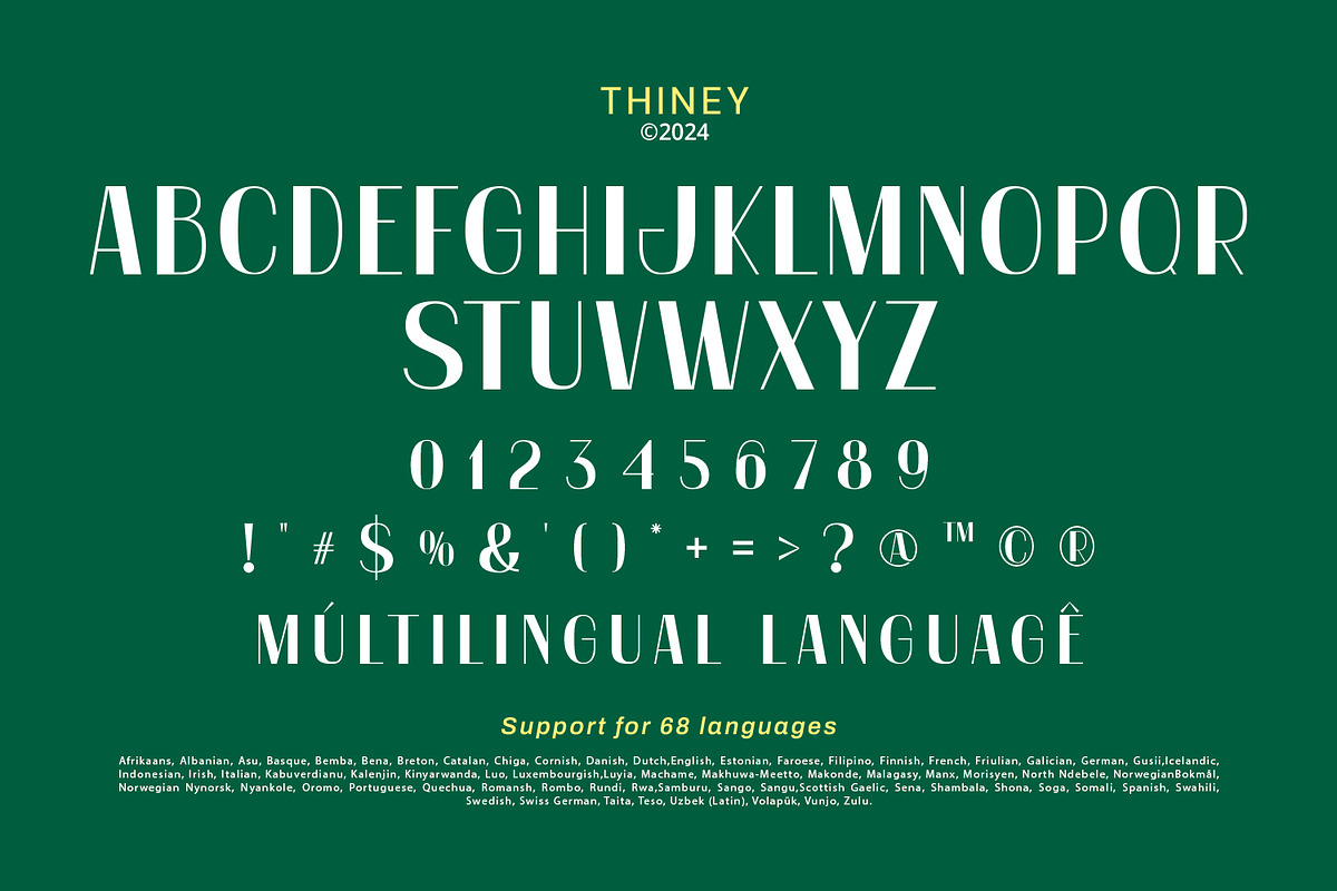 Thiney, a Sans Serif Font by yumnatype (Photo 10 of 10)