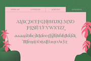 Jaella - Modern Serif Font, a Serif Font by creativemedialab (Thumbnail 14 of 15)