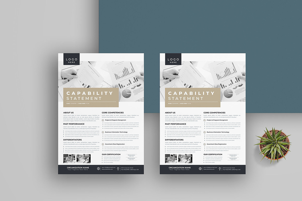 Capability Statement Bundle, a Flyer Template by obayes (Photo 3 of 10)