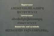 Agaitha | Modern and Elegant Serif, a Serif Font by Graphue (Thumbnail 9 of 9)