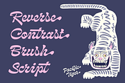 Pacific Tiger Retro Script, a Font by Fenotype (Thumbnail 13 of 13)
