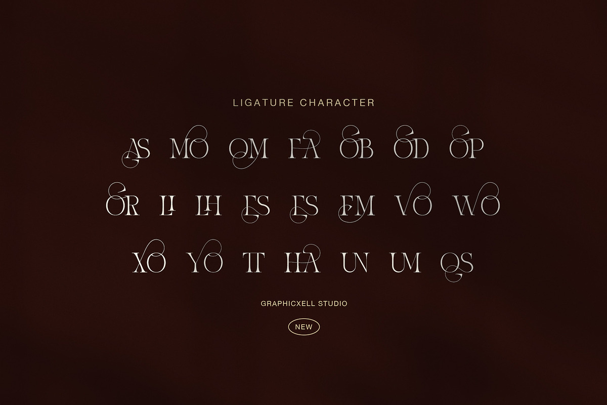 Asemok Elegant Serif Font, a Serif Font by Graphicxell (Photo 7 of 8)