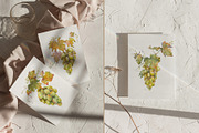 Watercolor Grapes Clipart Set, a Food Illustration by Jeanna Draw (Thumbnail 2 of 12)