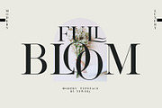 Full Bloom, a Serif Font by Teweka (Thumbnail 11 of 11)