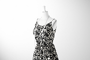 Spotty Seamless Patterns Set, a Pattern Graphic by Curly_Pat (Thumbnail 7 of 7)