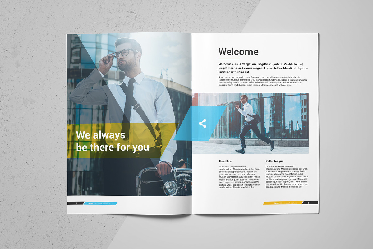 Cameo Business Brochure, a Brochure Template by FathurFateh (Photo 2 of 13)