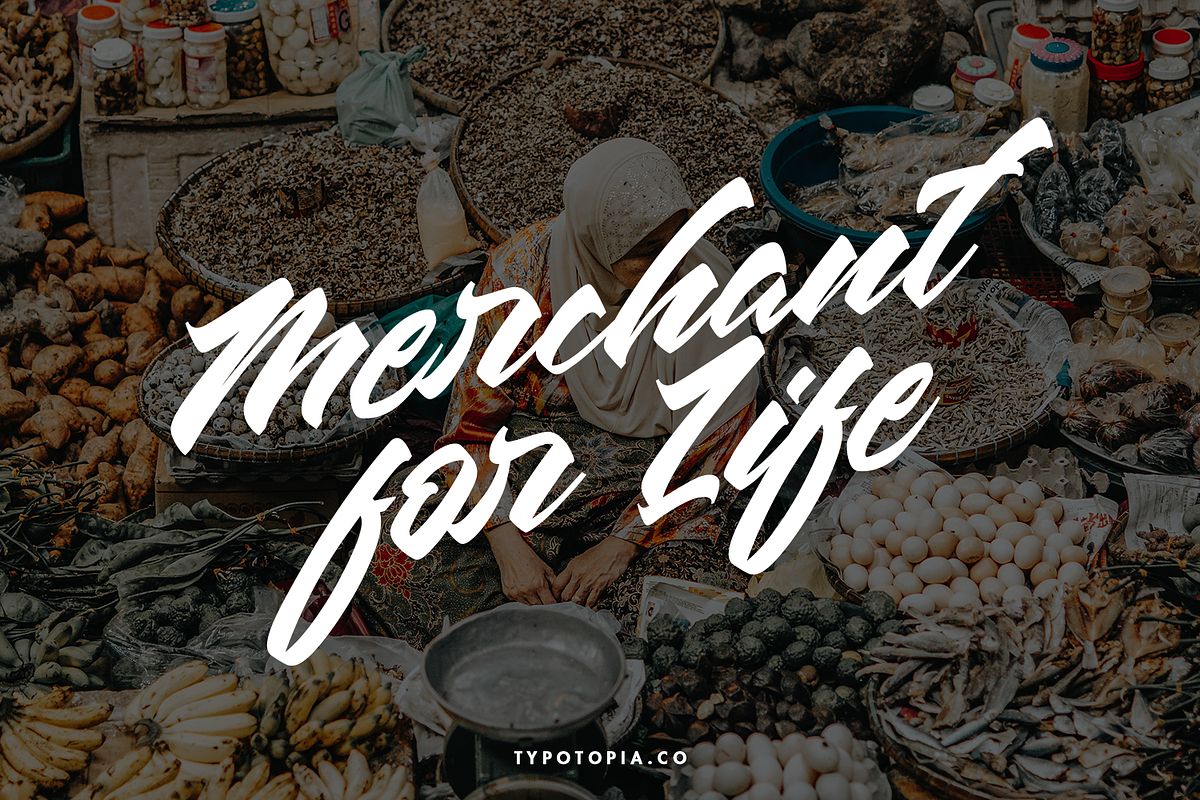 Chesnut Modern Script Font, a Script Font by edukka (Photo 9 of 10)