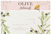 OLIVE BOTANICALS Watercolor & Line, a Work Illustration by Momo Studio (Thumbnail 15 of 15)