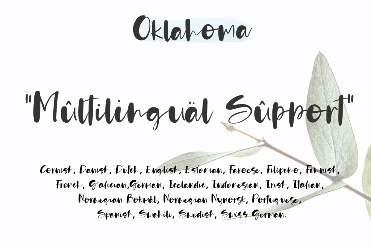 Oklahoma, a Script Font by Artstudio (Photo 10 of 10)