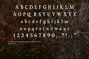 Dark Fairytale Display Serif Font, a Font by foxsong (Thumbnail 4 of 6)