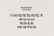 Losta Frida - Decorative family, a Sans Serif Font by creativemedialab (Thumbnail 14 of 20)