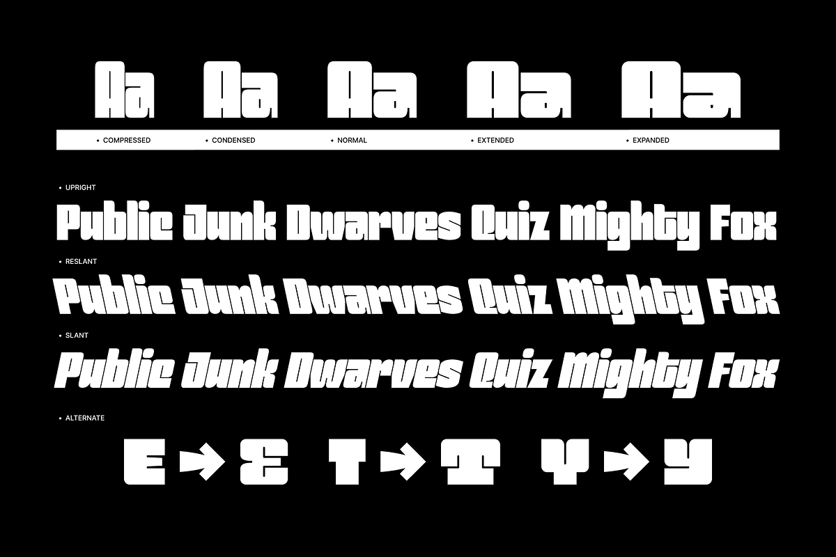 Voxieface Display Family, a Sans Serif Font by Holyline Design (Photo 3 of 9)