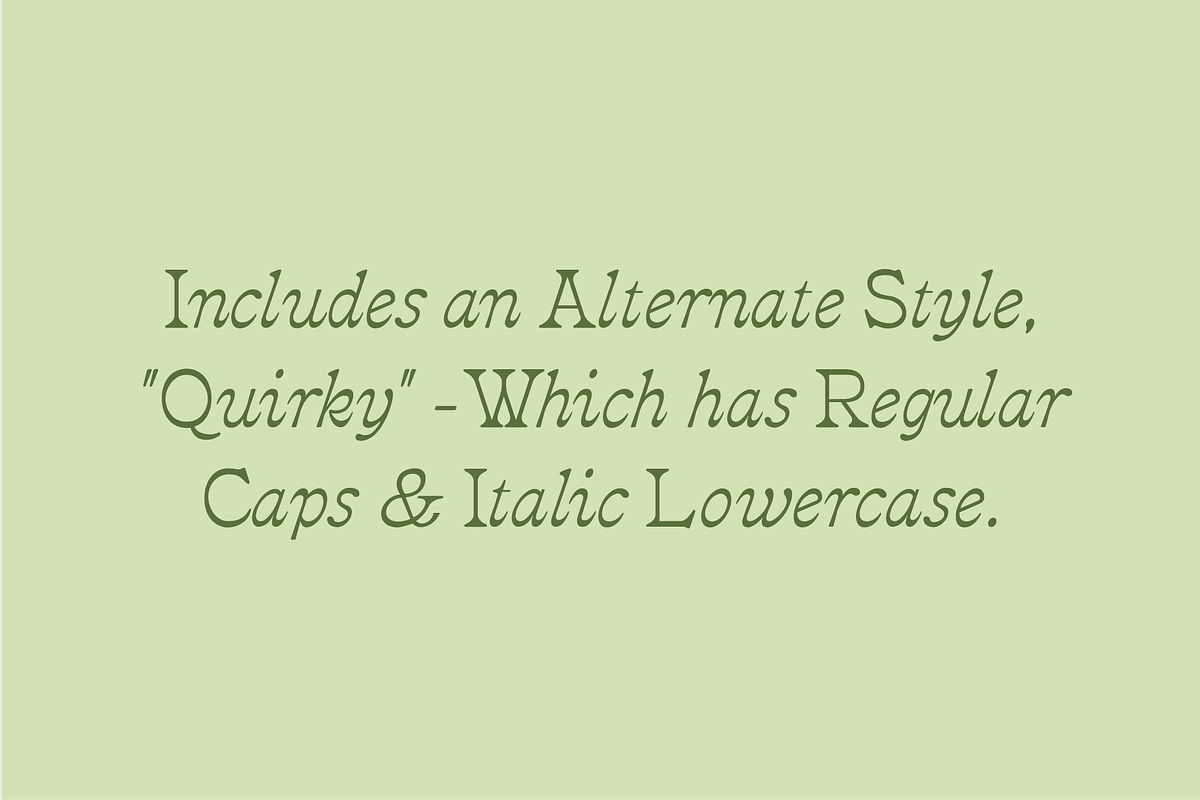 Ceremony Serif, a Serif Font by MEG BURK CHOI (Photo 3 of 3)